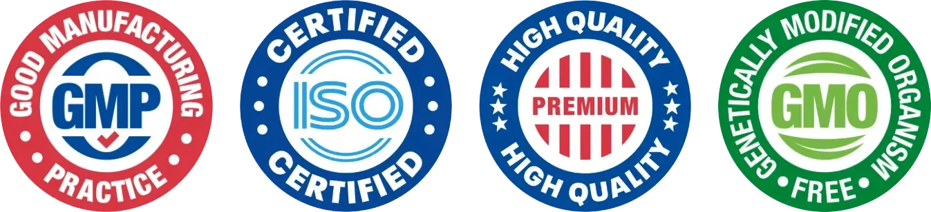 Security Seals