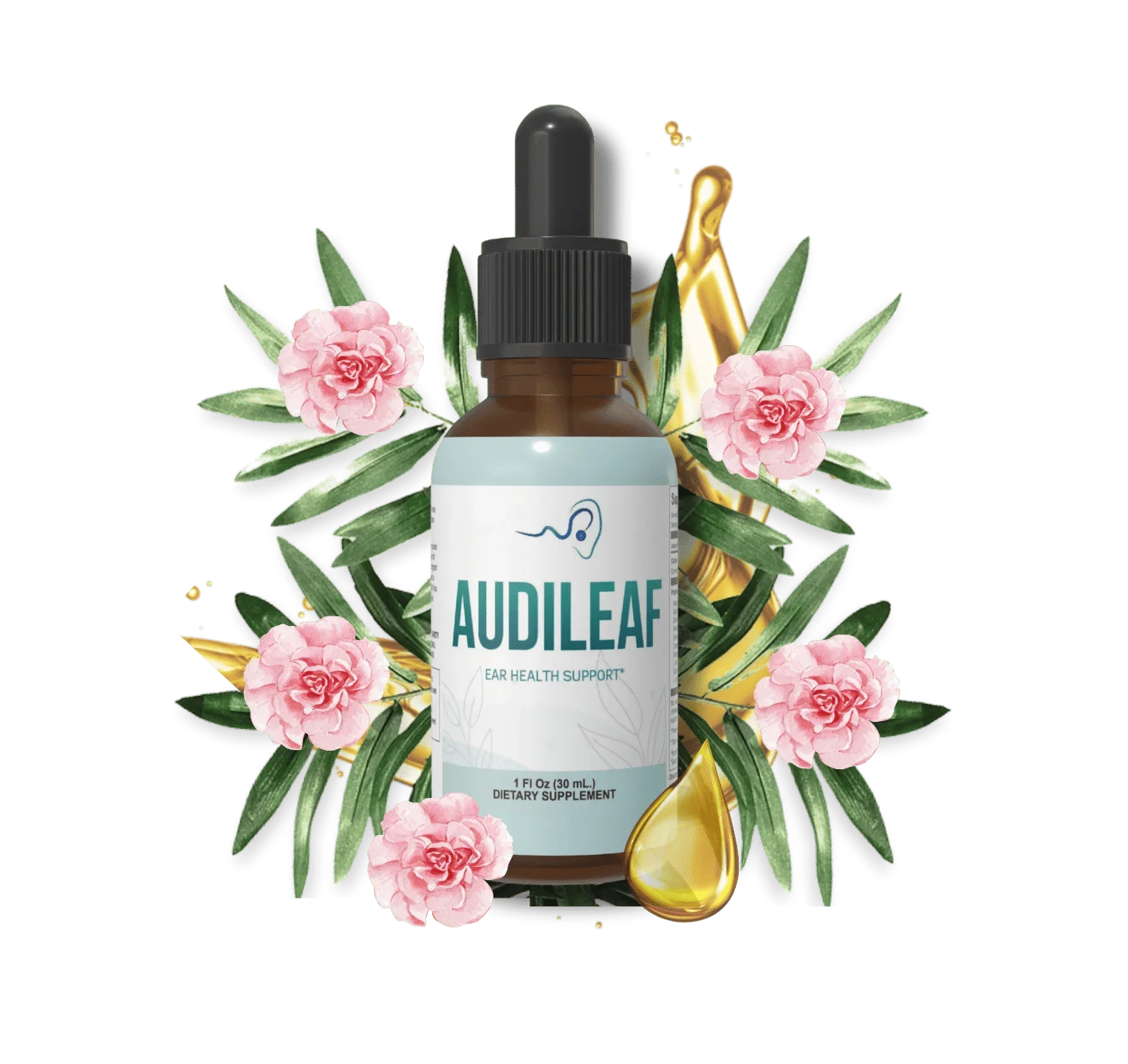 AudiLeaf Product