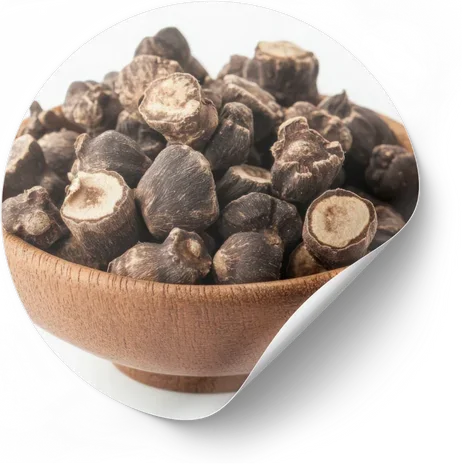 Maca Root